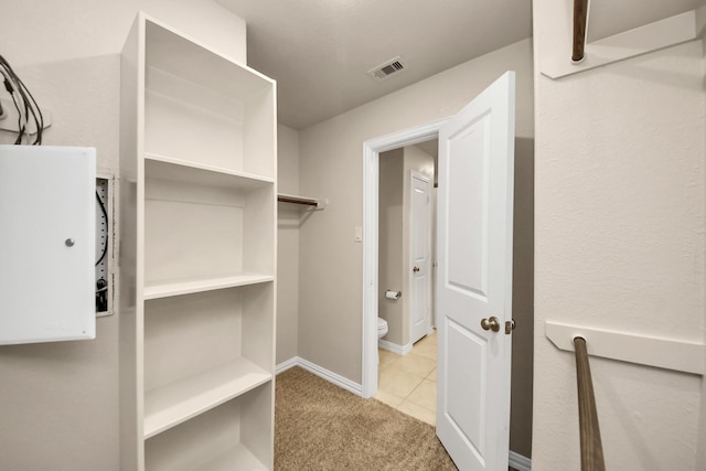 walk in closet with light colored carpet