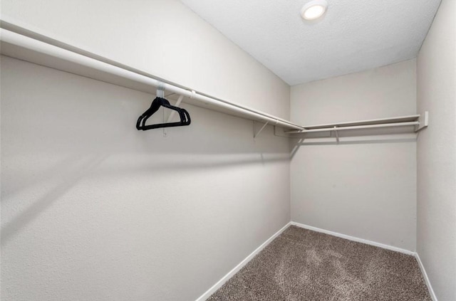 spacious closet with carpet