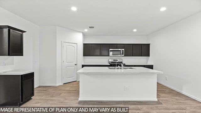 kitchen featuring light hardwood / wood-style floors, a kitchen island with sink, and sink