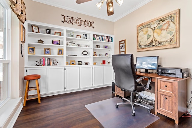 office with dark hardwood / wood-style floors, ceiling fan, crown molding, and a wealth of natural light