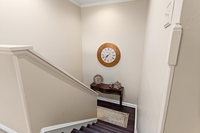 stairs with wood-type flooring and ornamental molding