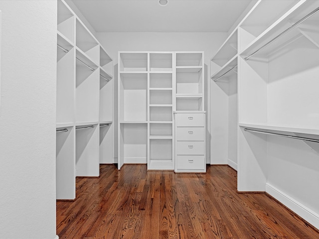 walk in closet with dark wood-type flooring