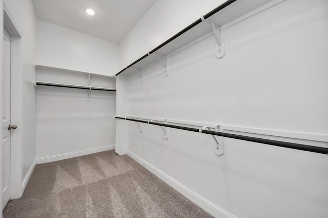 walk in closet with light carpet