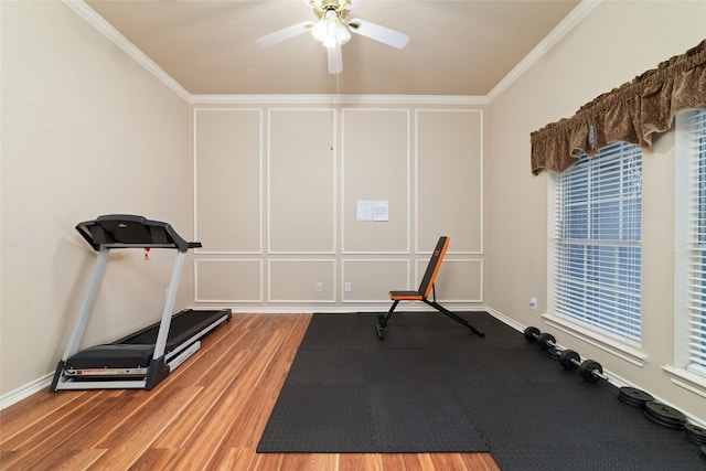 workout room with crown molding, hardwood / wood-style floors, and ceiling fan