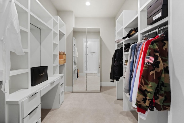 spacious closet with light colored carpet