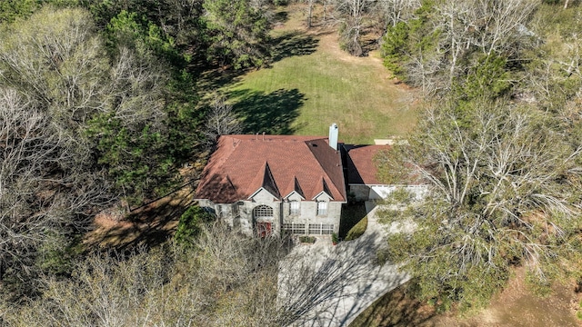 bird's eye view