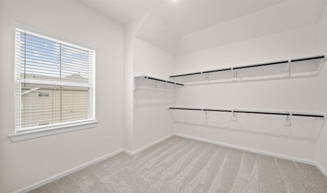 spacious closet with light colored carpet