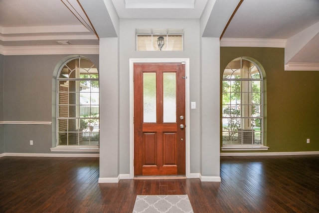 foyer with dark wood-type flooring and a healthy amount of sunlight