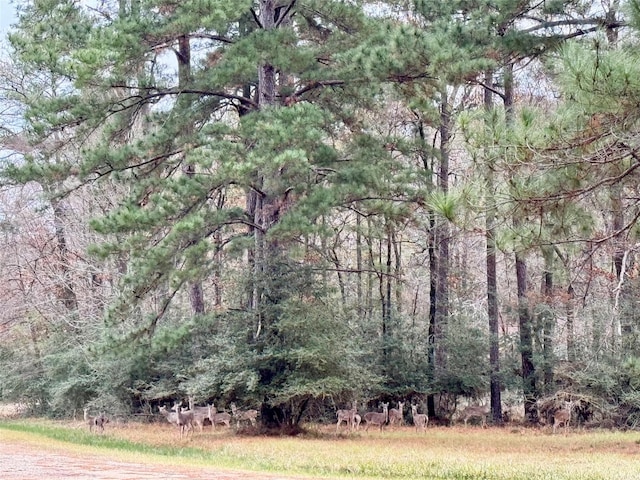 view of nature