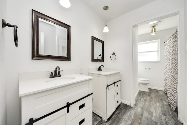 bathroom with vanity, toilet, and wood-type flooring