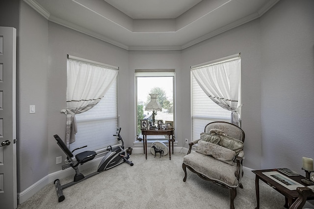 sitting room with a tray ceiling and carpet floors