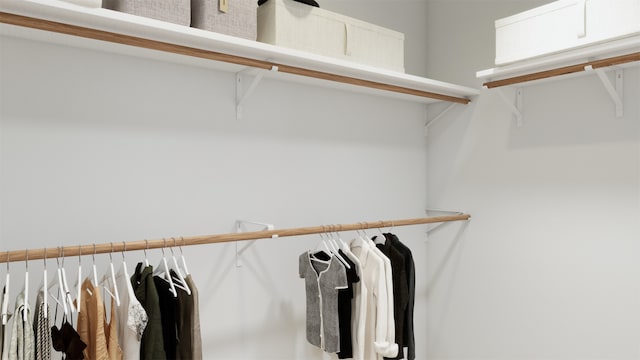 view of spacious closet