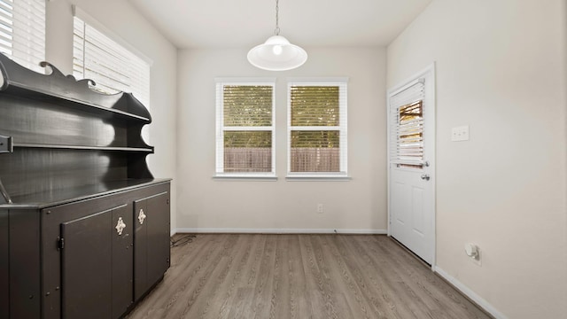 unfurnished dining area featuring light hardwood / wood-style flooring