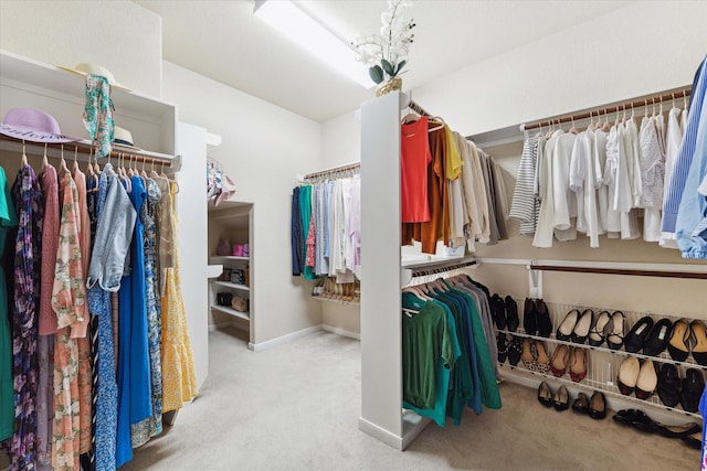 spacious closet with carpet