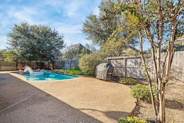 view of swimming pool featuring a patio