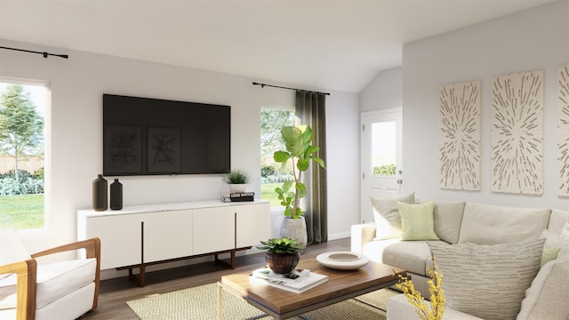 living room featuring lofted ceiling and dark wood-type flooring