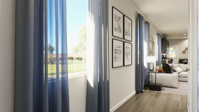 corridor featuring hardwood / wood-style floors and plenty of natural light