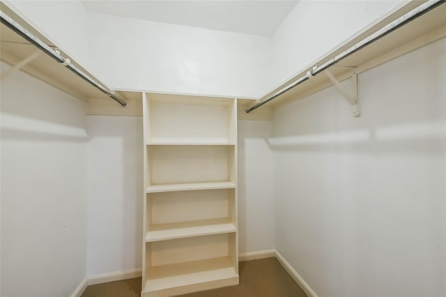 view of walk in closet