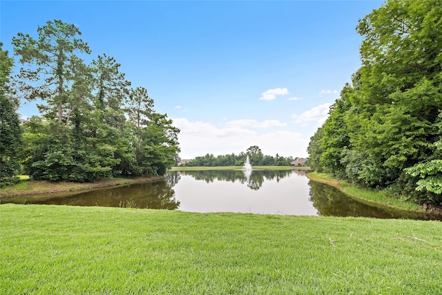 property view of water