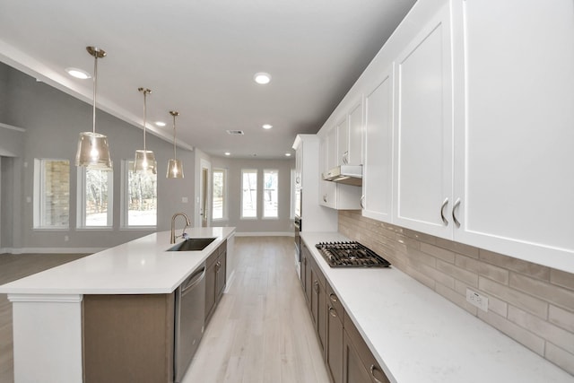 kitchen featuring backsplash, appliances with stainless steel finishes, a sink, light wood-type flooring, and under cabinet range hood