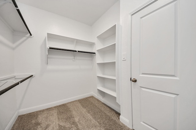 walk in closet featuring carpet flooring