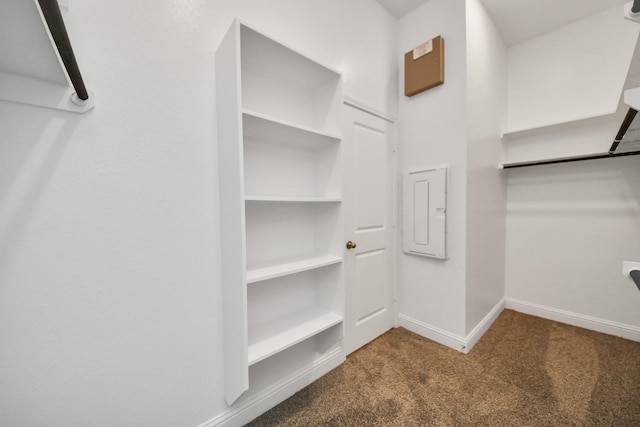 17733 Gold Saddle Ln, Magnolia, TX 77354 - walk in closet with carpet and electric panel