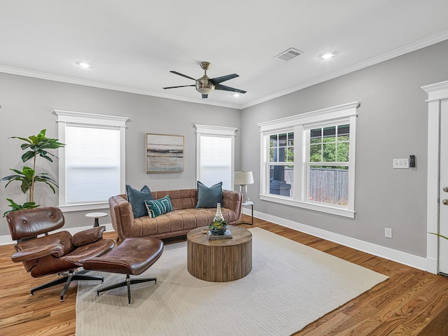 living room featuring ceiling fan, ornamental molding, and wood-type flooring