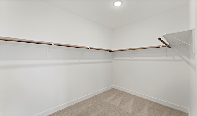 spacious closet featuring carpet floors