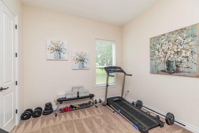 exercise area with carpet flooring