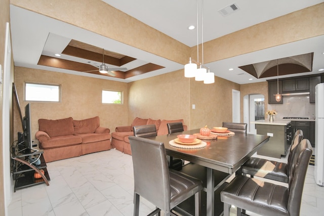 dining space with a tray ceiling and ceiling fan