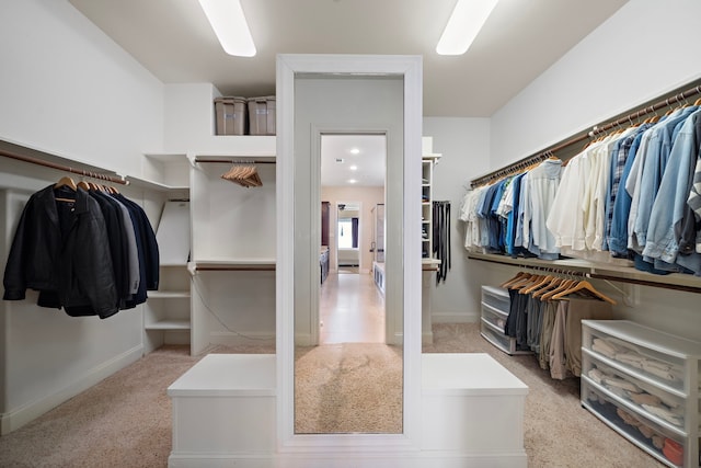 spacious closet with light carpet