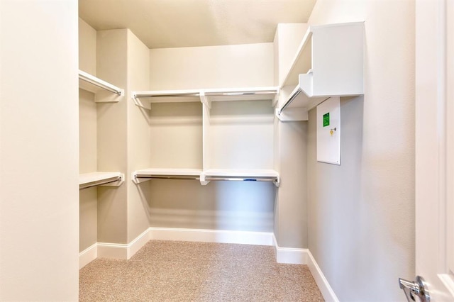 walk in closet with light carpet