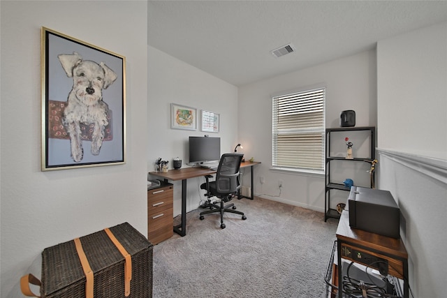 office with light colored carpet