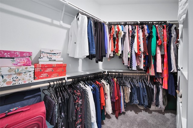 walk in closet featuring carpet