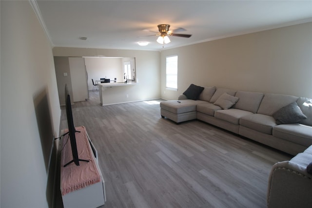 living room featuring crown molding, ceiling fan, and light wood-type flooring