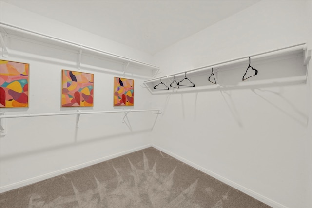 spacious closet with carpet flooring