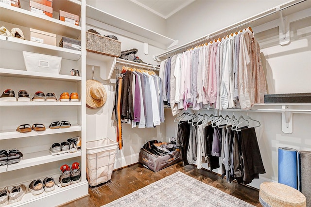 spacious closet featuring dark hardwood / wood-style flooring