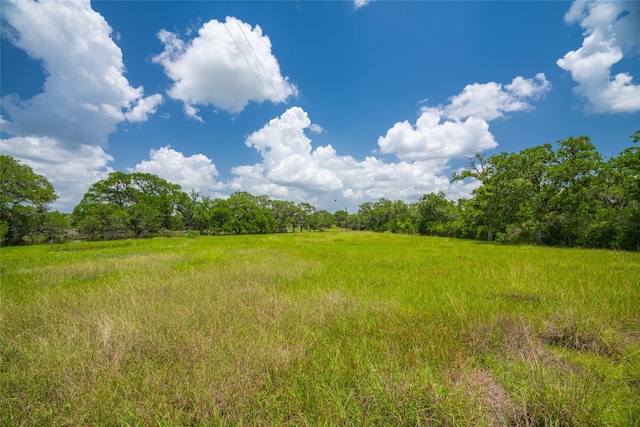 15272 State Highway 111 E, Yoakum, TX 77995 - photo 2