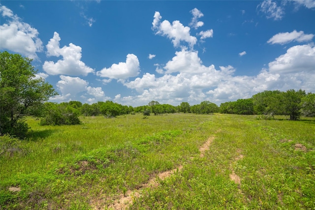 15272 State Highway 111 E, Yoakum, TX 77995 - photo 4