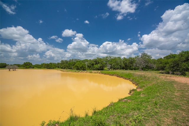 15272 State Highway 111 E, Yoakum, TX 77995 - photo 5