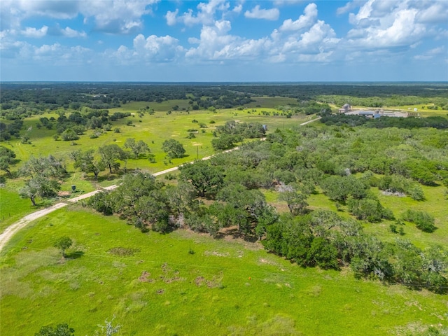 15272 State Highway 111 E, Yoakum, TX 77995 - photo 6