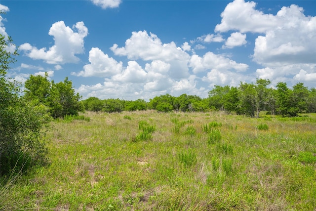 15272 State Highway 111 E, Yoakum, TX 77995 - photo 7
