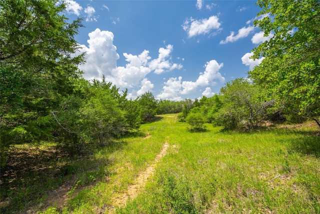 15272 State Highway 111 E, Yoakum, TX 77995 - photo 8