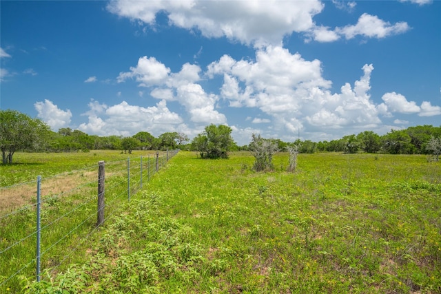 15272 State Highway 111 E, Yoakum, TX 77995 - photo 10