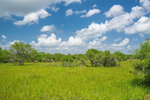 15272 State Highway 111 E, Yoakum, TX 77995 - photo 11