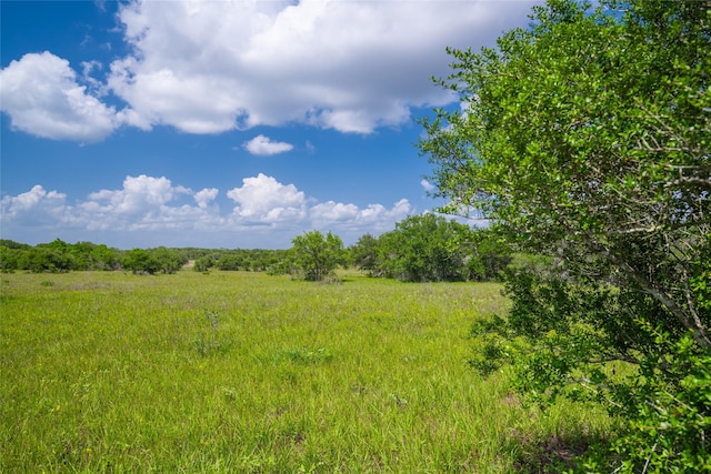15272 State Highway 111 E, Yoakum, TX 77995 - photo 12