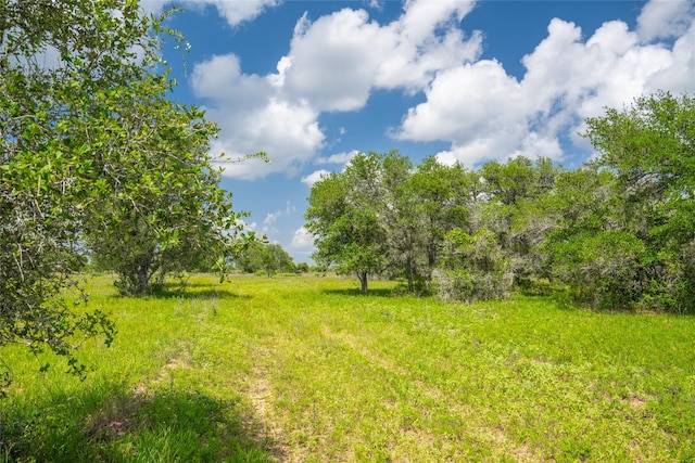 15272 State Highway 111 E, Yoakum, TX 77995 - photo 17