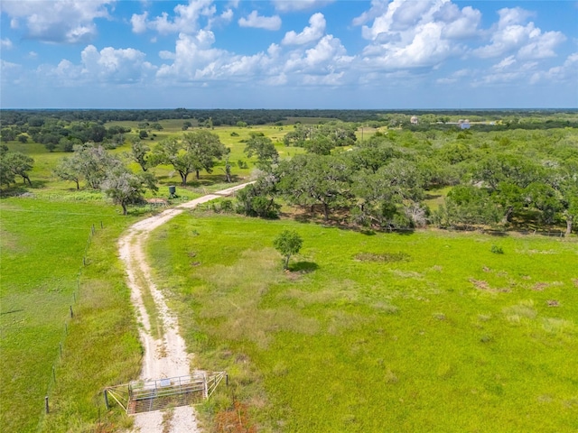 15272 State Highway 111 E, Yoakum, TX 77995 - photo 18