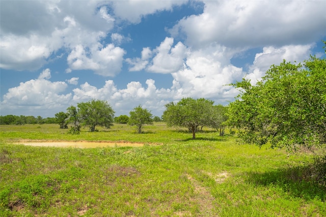 15272 State Highway 111 E, Yoakum, TX 77995 - photo 19