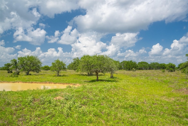15272 State Highway 111 E, Yoakum, TX 77995 - photo 21